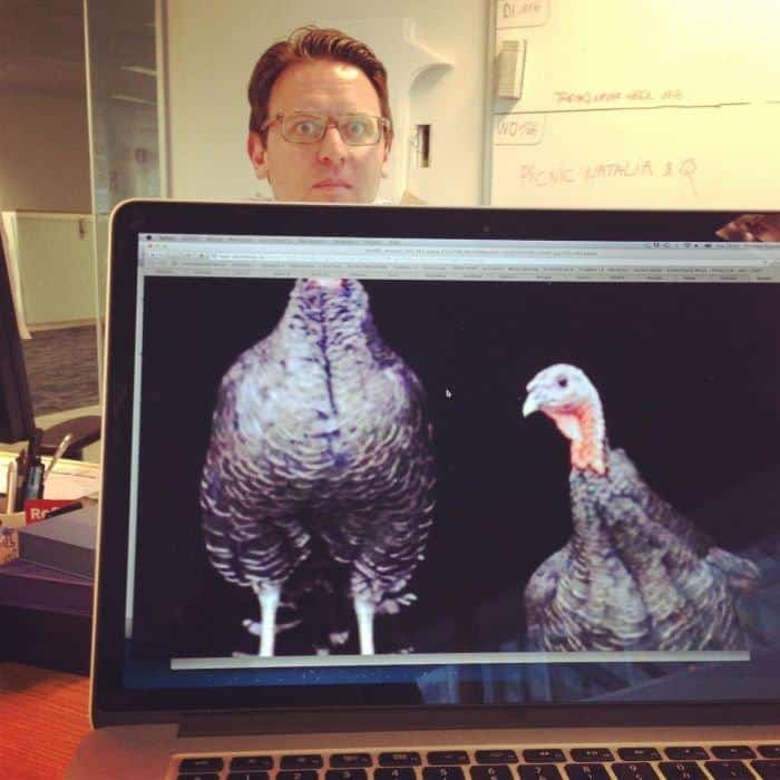 chicken man kantoor