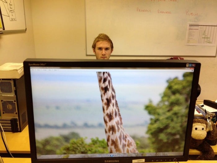 giraffe man kantoor