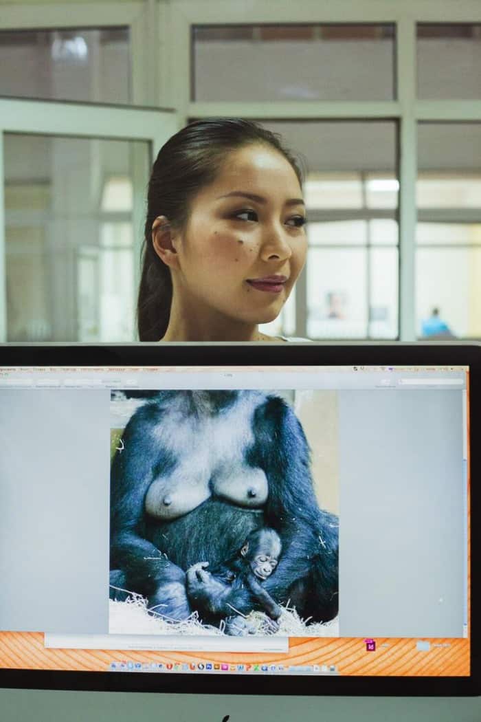 gorilla vrouw kantoor