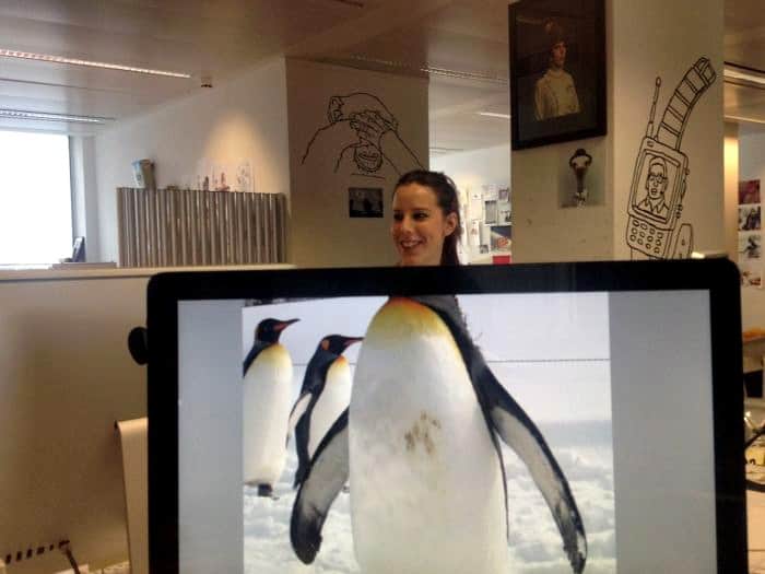 pinguin vrouw kantoor