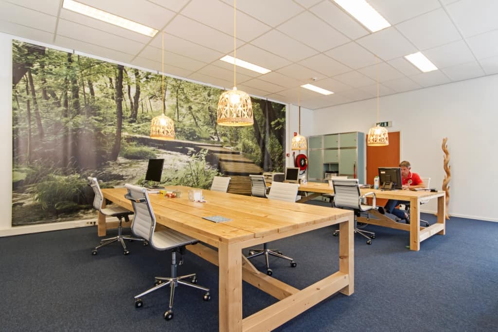Het huiskamerkantoorwerkplekken 1