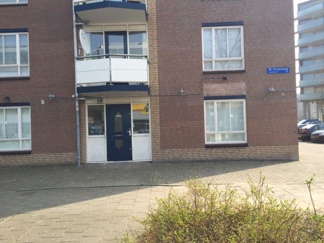 image14
