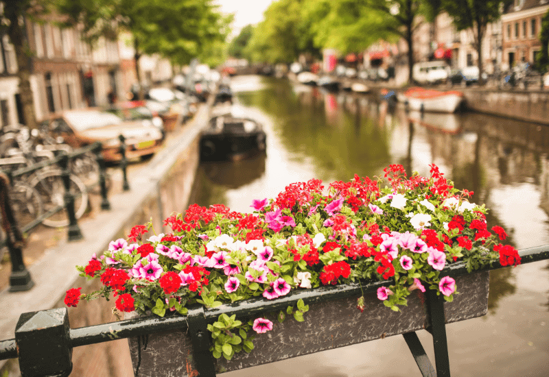 jordaan amsterdam ondernemen